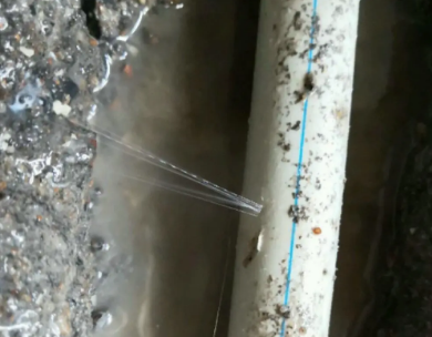 辽中测漏水哪家好