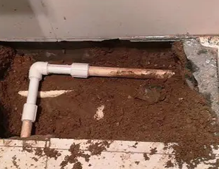 辽中测漏水哪家好