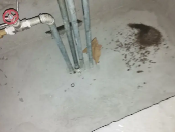 辽中卫生间测漏水价格明细